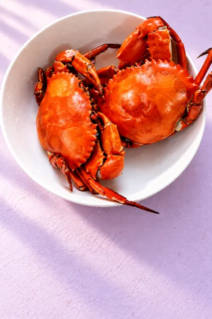 Cua Cà Mau, gạch son, thịt chắc